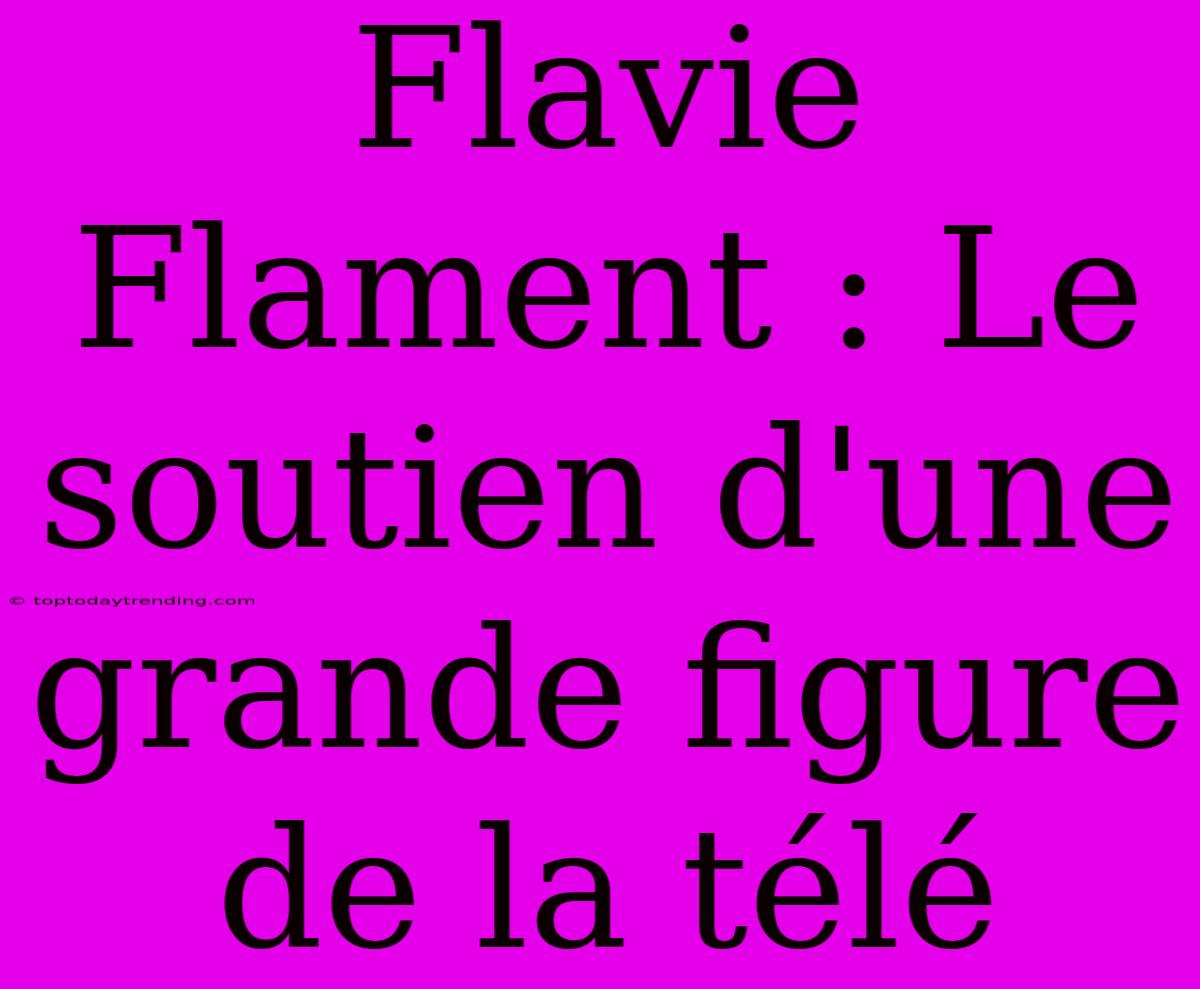 Flavie Flament : Le Soutien D'une Grande Figure De La Télé