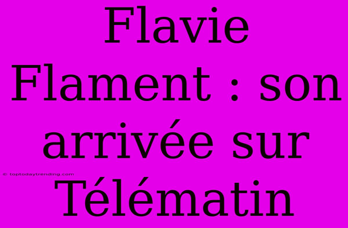 Flavie Flament : Son Arrivée Sur Télématin