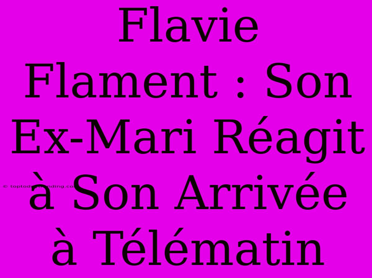 Flavie Flament : Son Ex-Mari Réagit À Son Arrivée À Télématin