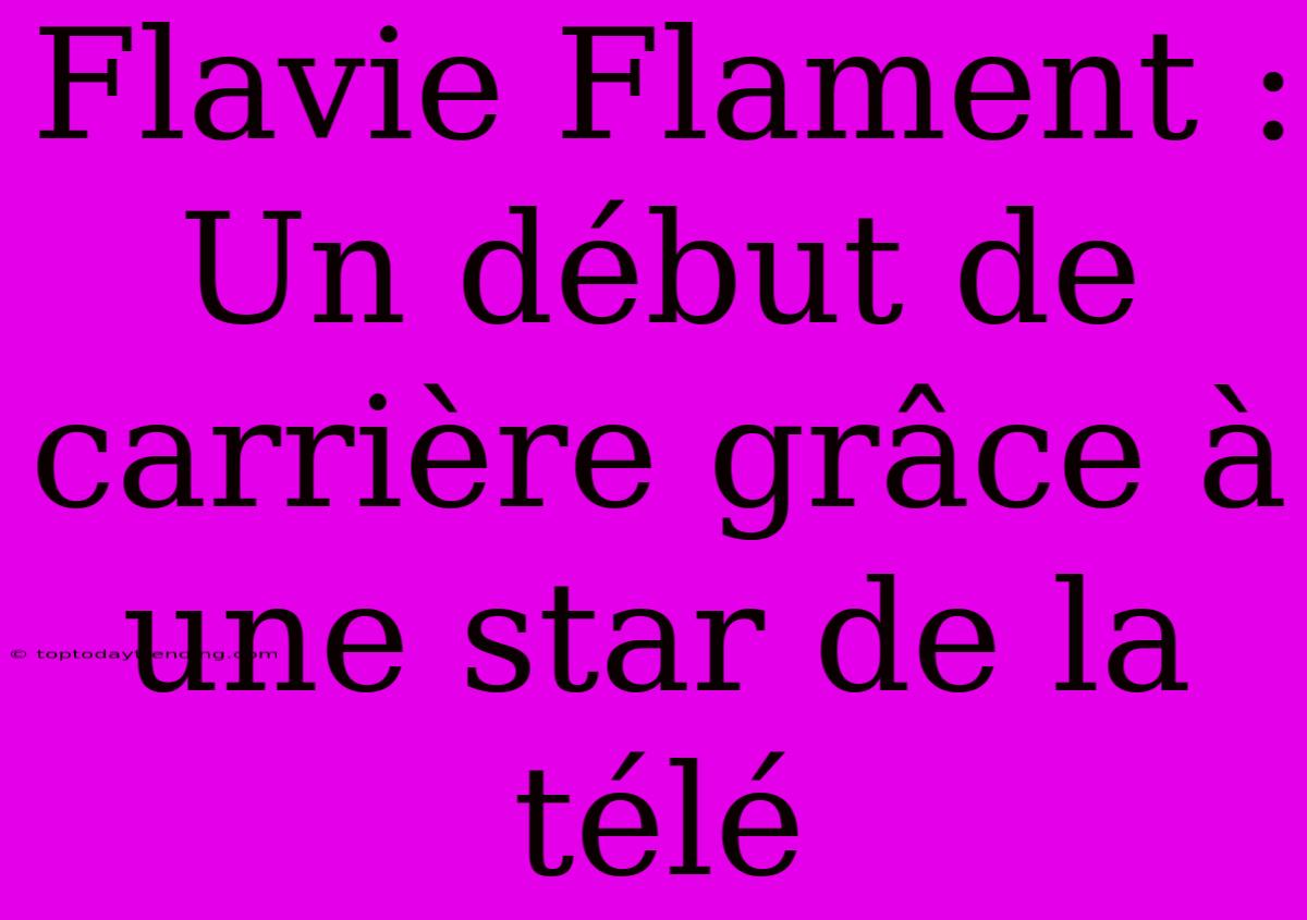 Flavie Flament : Un Début De Carrière Grâce À Une Star De La Télé