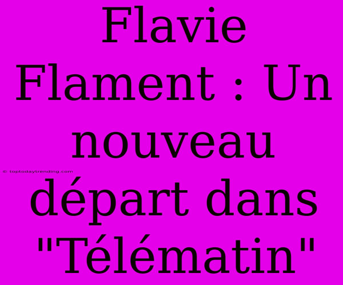 Flavie Flament : Un Nouveau Départ Dans 