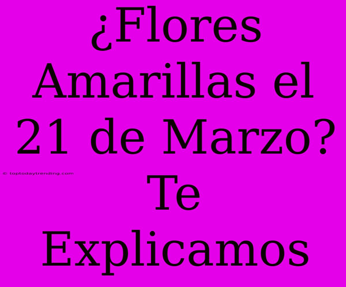 ¿Flores Amarillas El 21 De Marzo? Te Explicamos