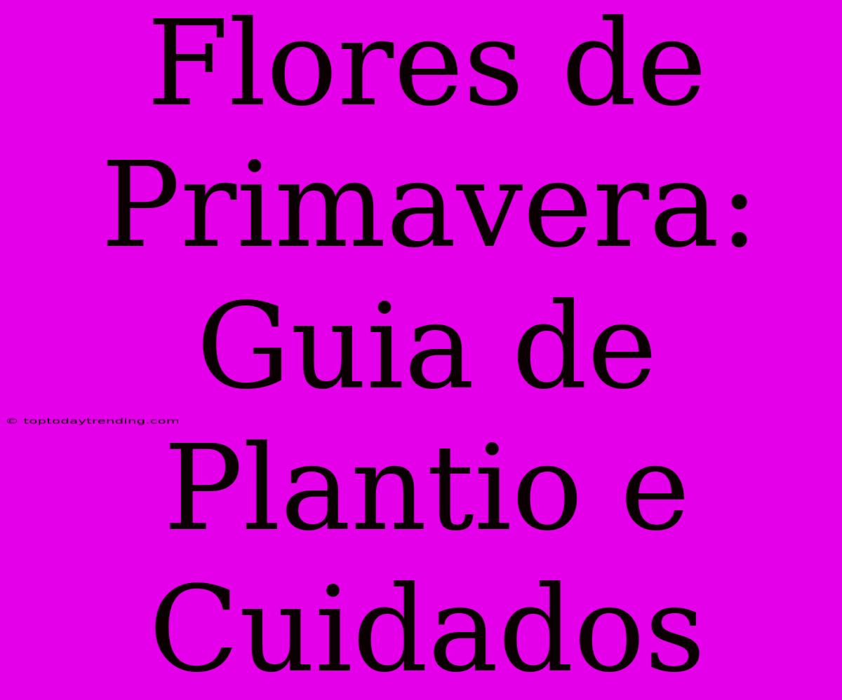 Flores De Primavera: Guia De Plantio E Cuidados