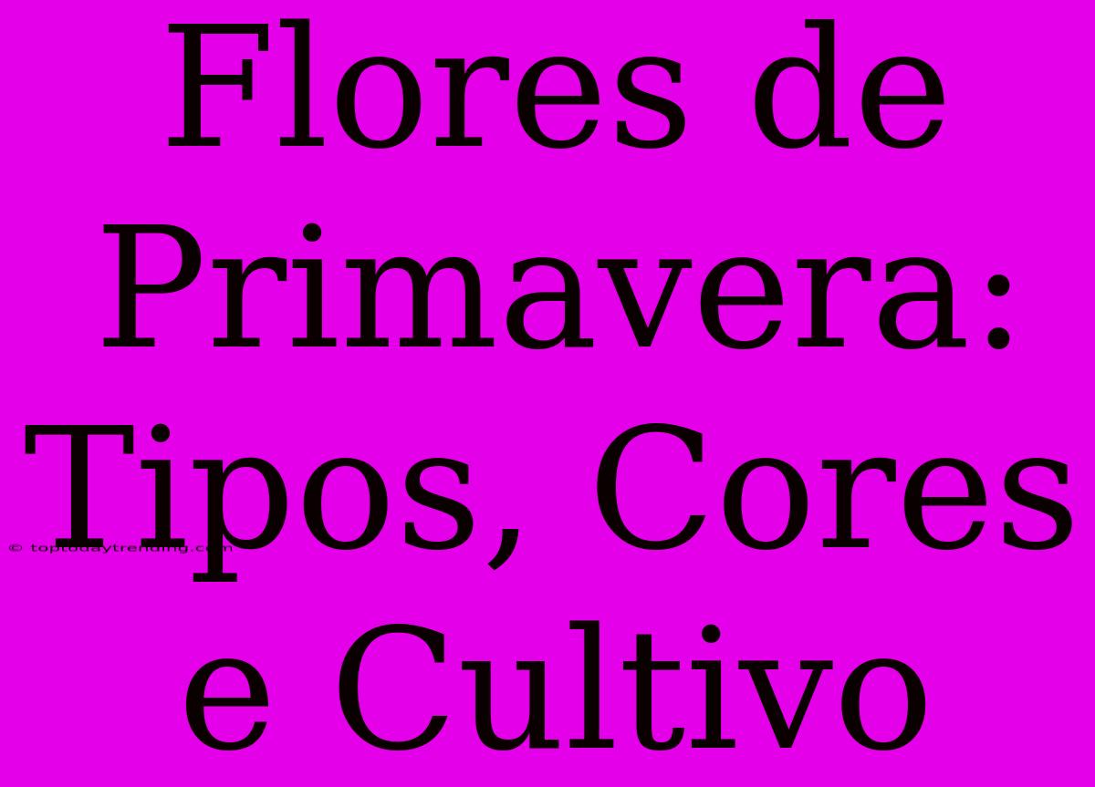 Flores De Primavera: Tipos, Cores E Cultivo