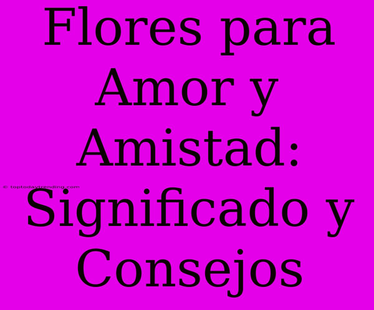 Flores Para Amor Y Amistad: Significado Y Consejos