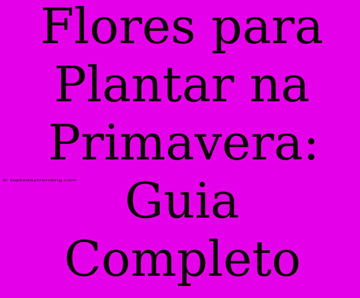 Flores Para Plantar Na Primavera: Guia Completo