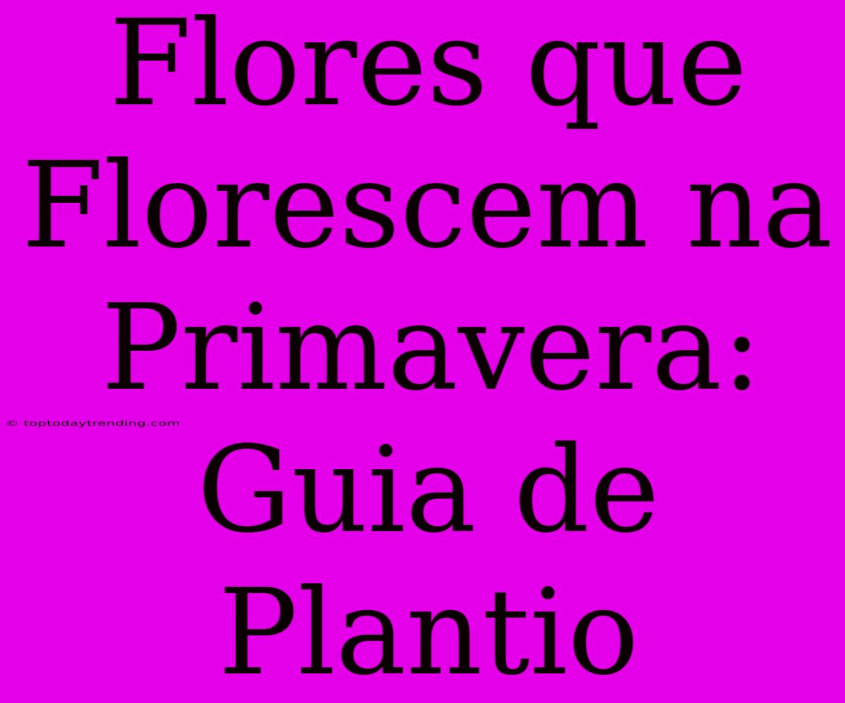 Flores Que Florescem Na Primavera: Guia De Plantio