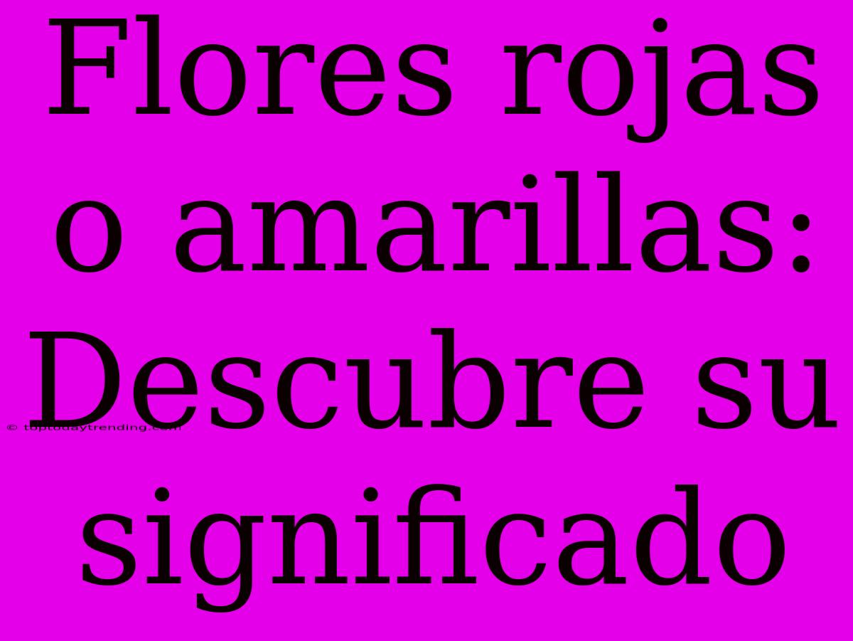 Flores Rojas O Amarillas: Descubre Su Significado