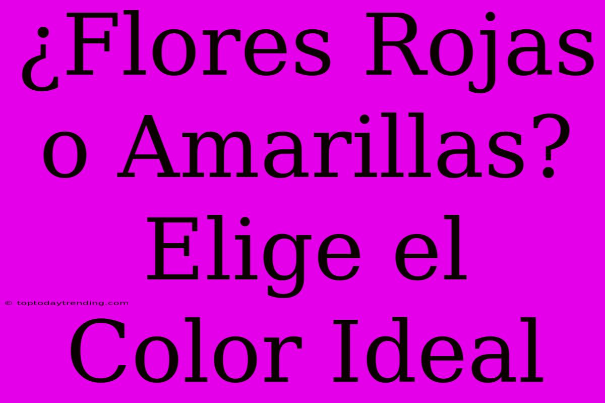 ¿Flores Rojas O Amarillas? Elige El Color Ideal