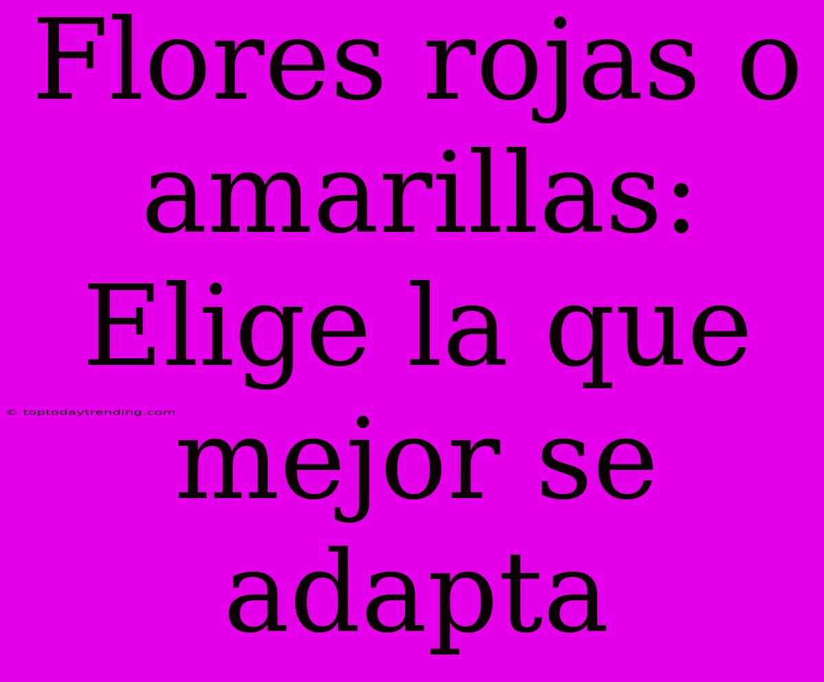 Flores Rojas O Amarillas: Elige La Que Mejor Se Adapta