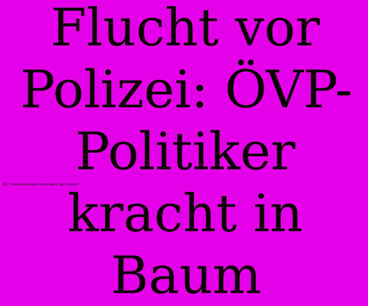 Flucht Vor Polizei: ÖVP-Politiker Kracht In Baum