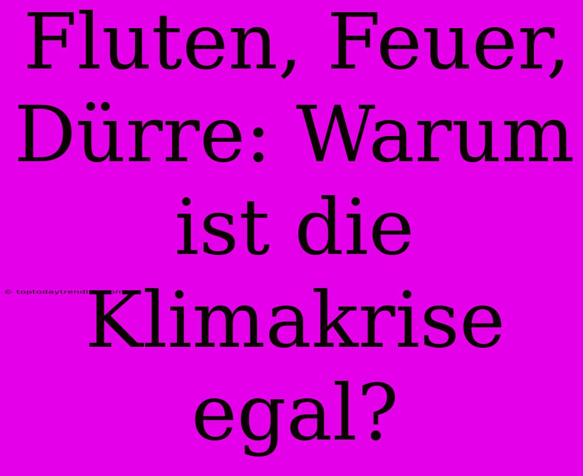 Fluten, Feuer, Dürre: Warum Ist Die Klimakrise Egal?