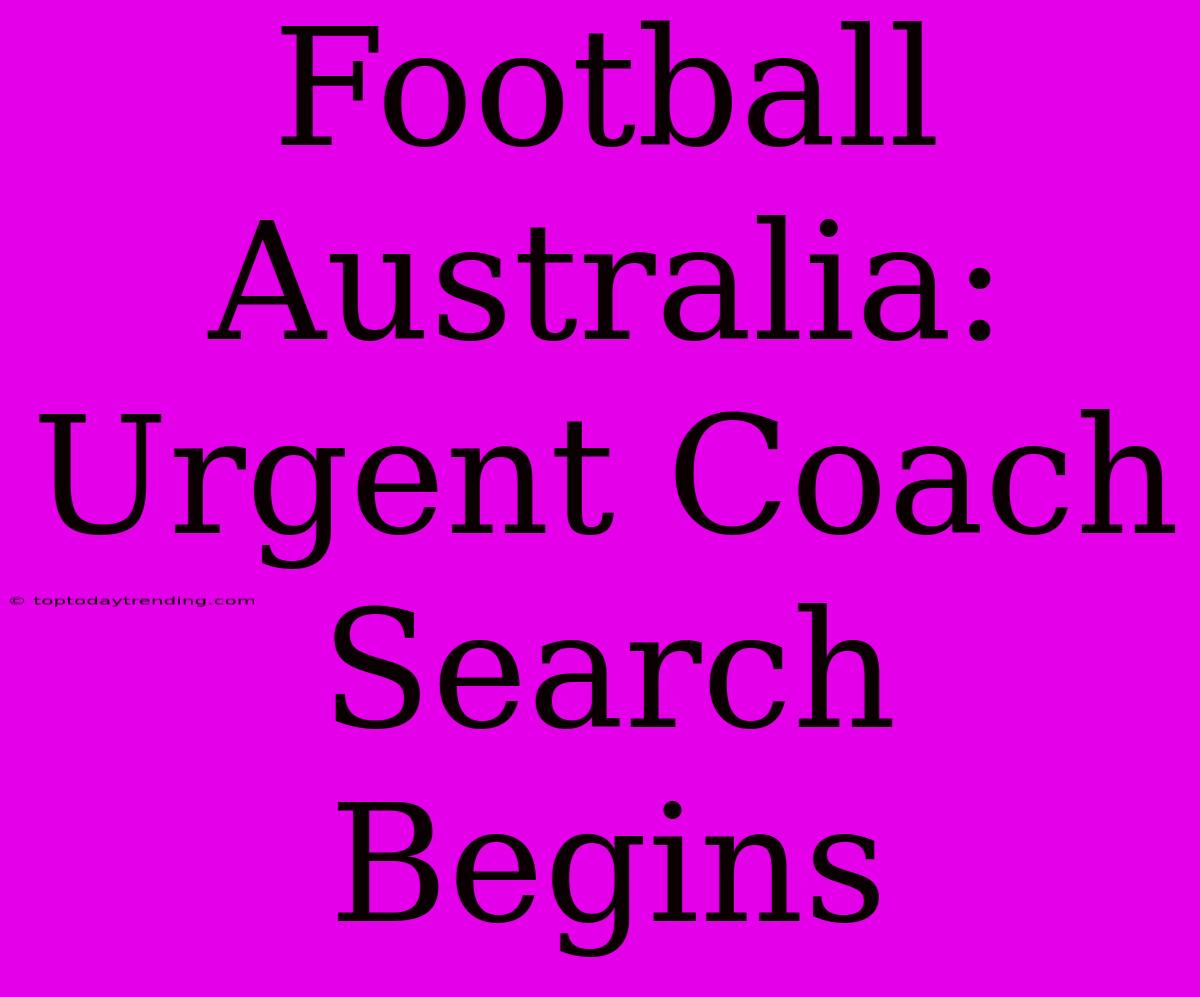 Football Australia: Urgent Coach Search Begins