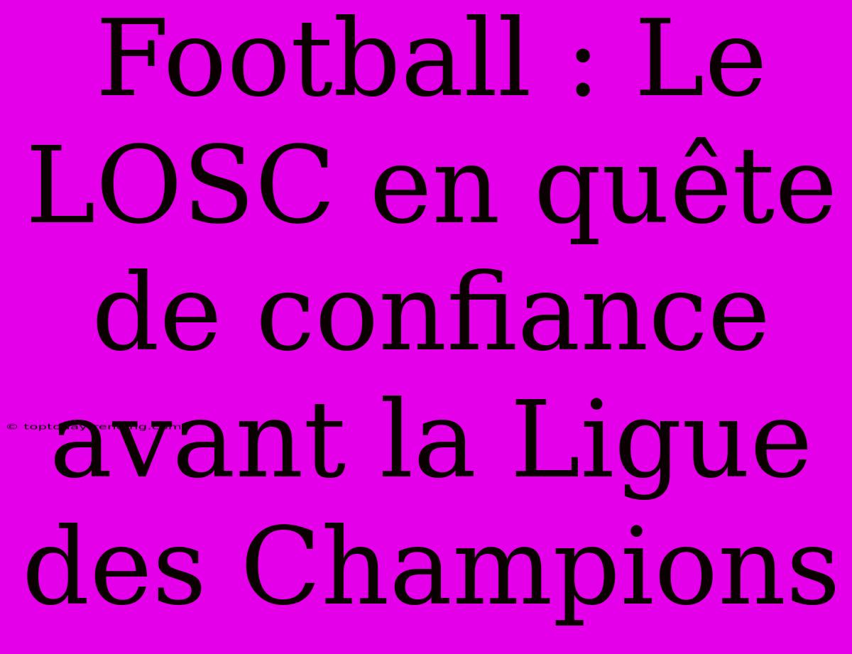 Football : Le LOSC En Quête De Confiance Avant La Ligue Des Champions