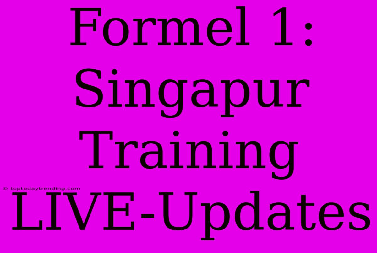 Formel 1: Singapur Training LIVE-Updates