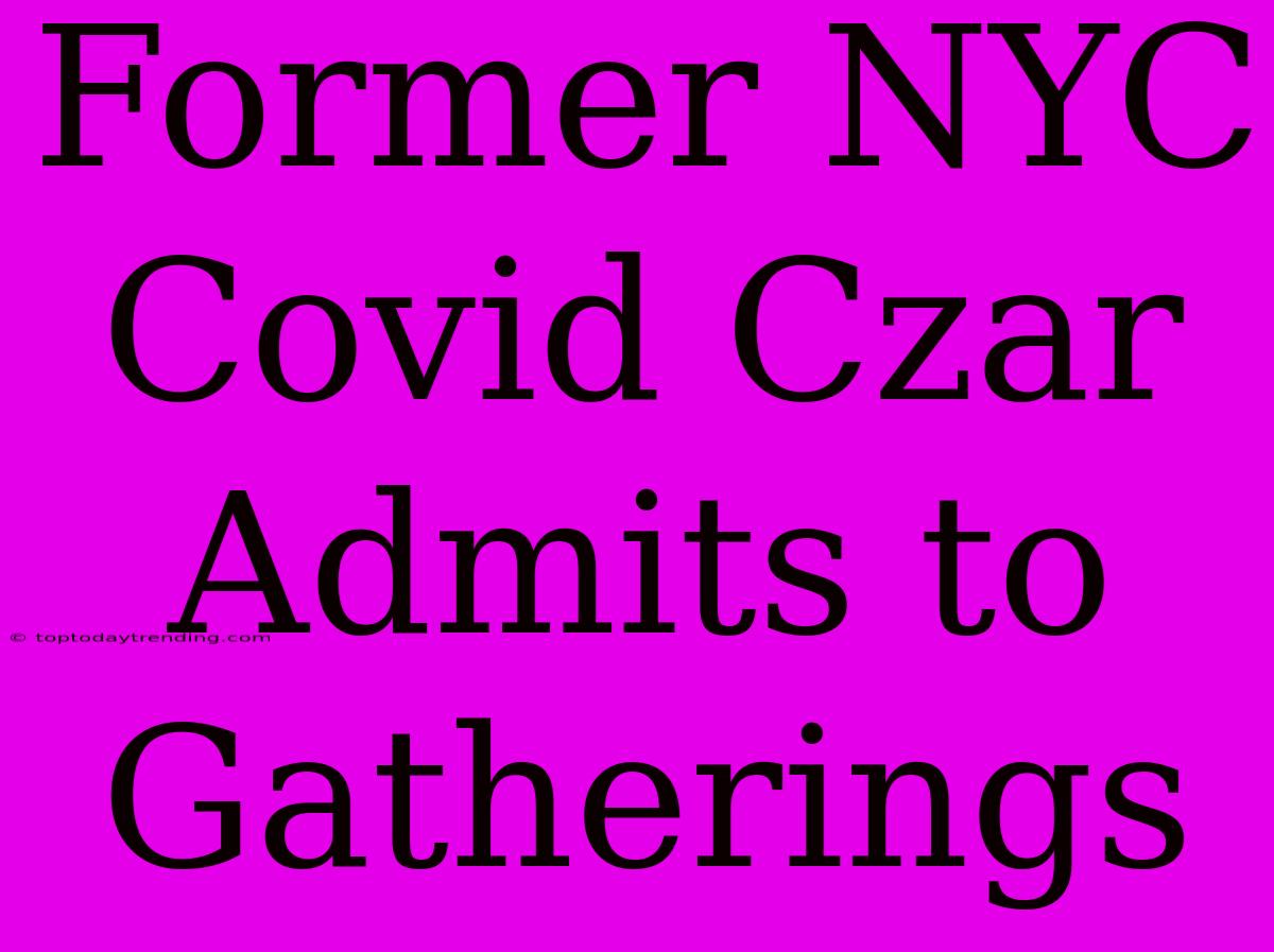 Former NYC Covid Czar Admits To Gatherings