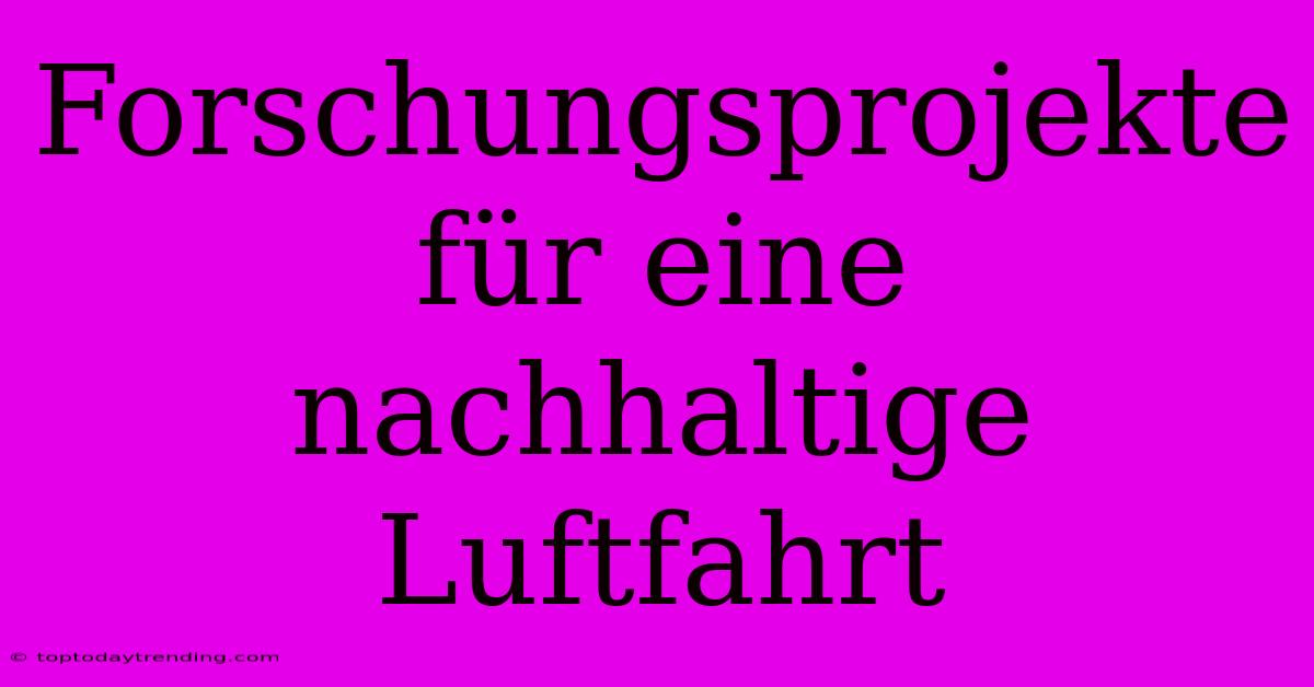 Forschungsprojekte Für Eine Nachhaltige Luftfahrt