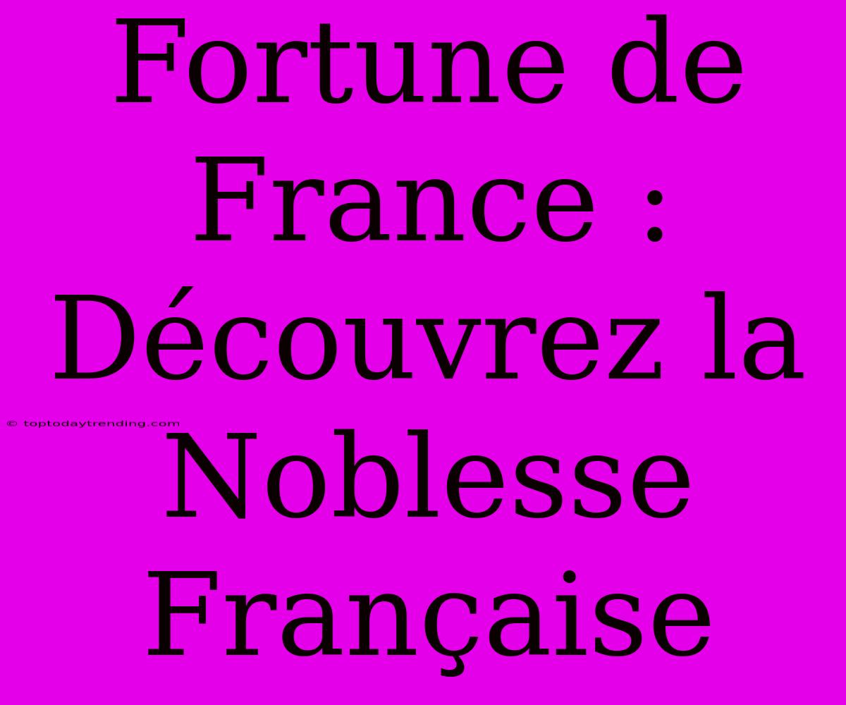 Fortune De France : Découvrez La Noblesse Française