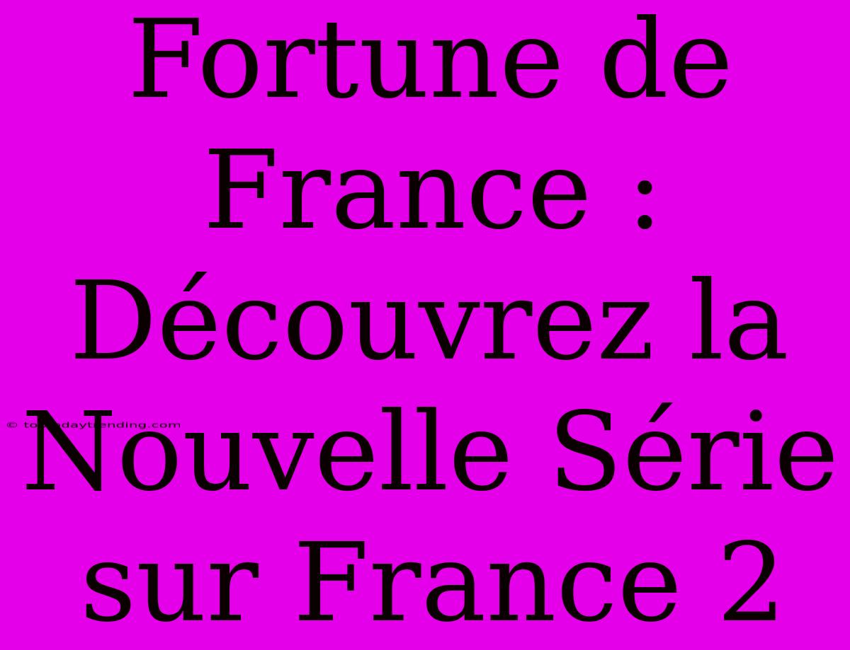 Fortune De France : Découvrez La Nouvelle Série Sur France 2