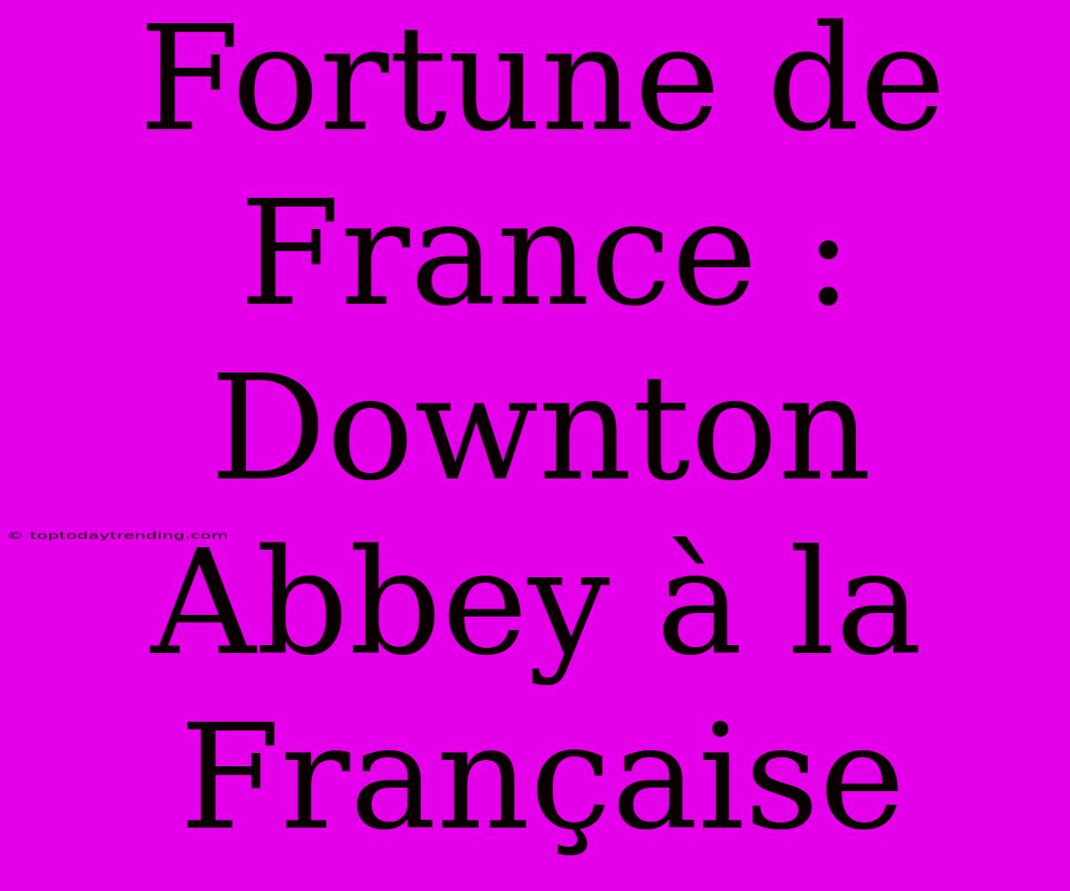 Fortune De France : Downton Abbey À La Française