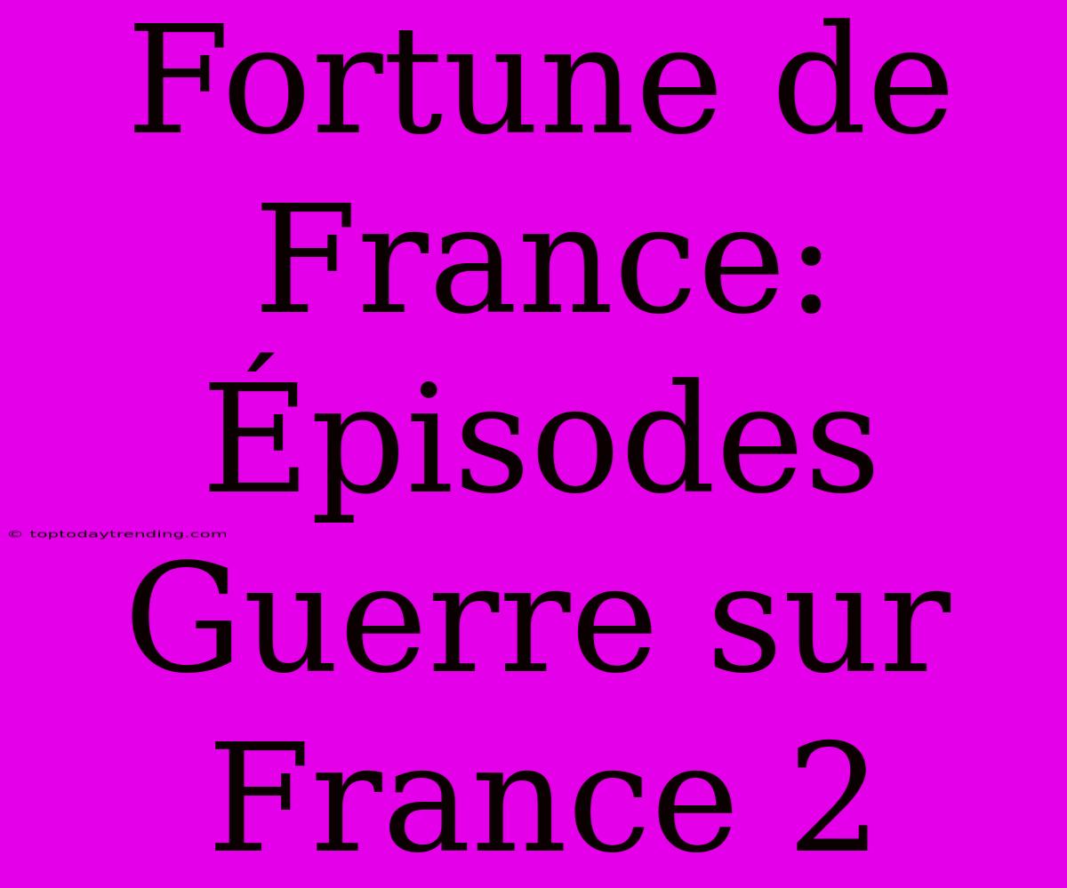 Fortune De France: Épisodes Guerre Sur France 2