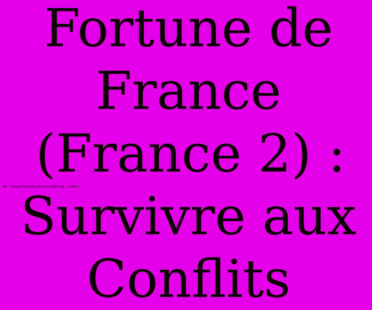 Fortune De France (France 2) : Survivre Aux Conflits