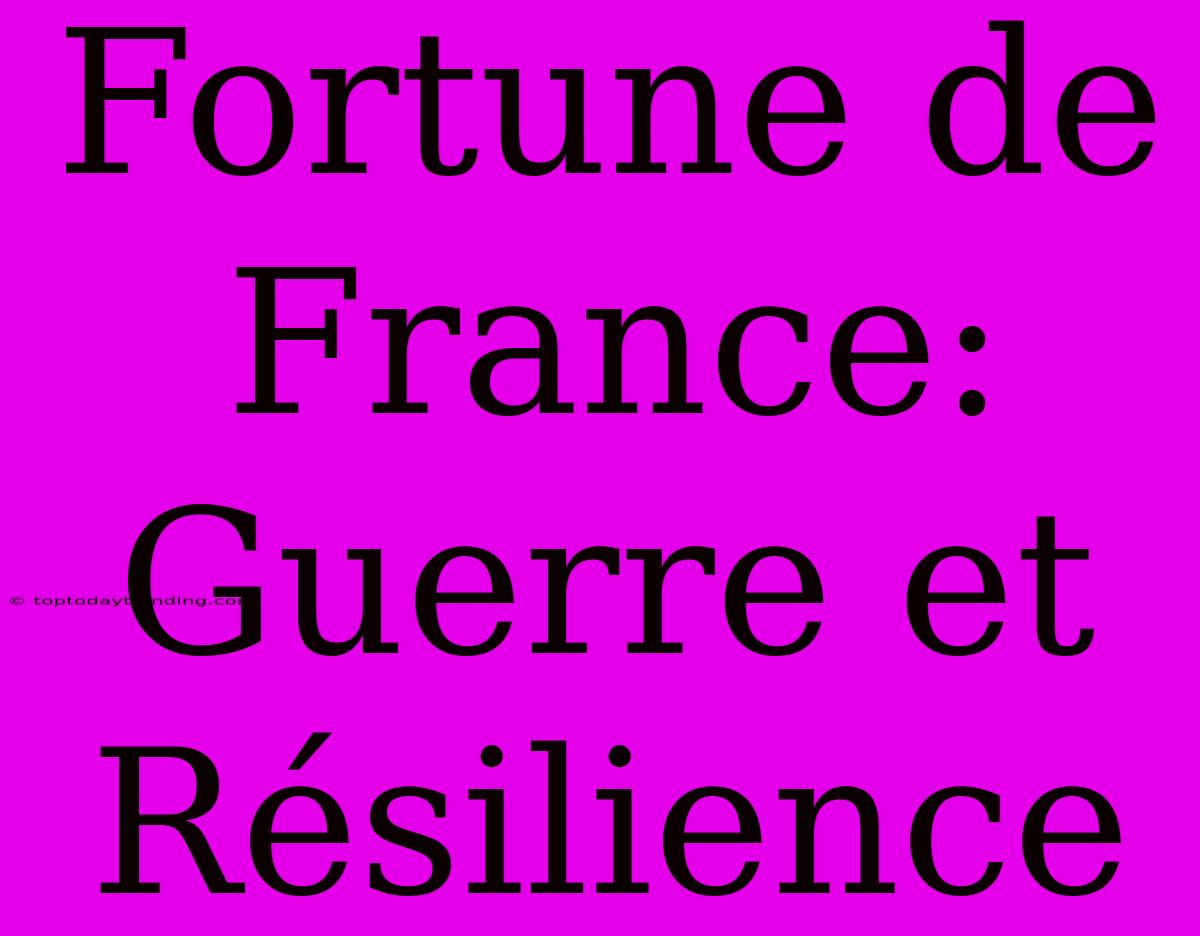 Fortune De France: Guerre Et Résilience