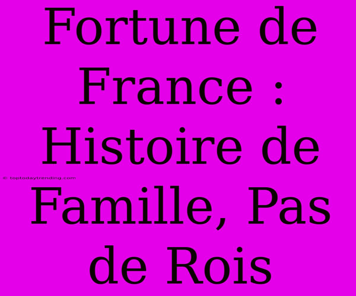 Fortune De France : Histoire De Famille, Pas De Rois