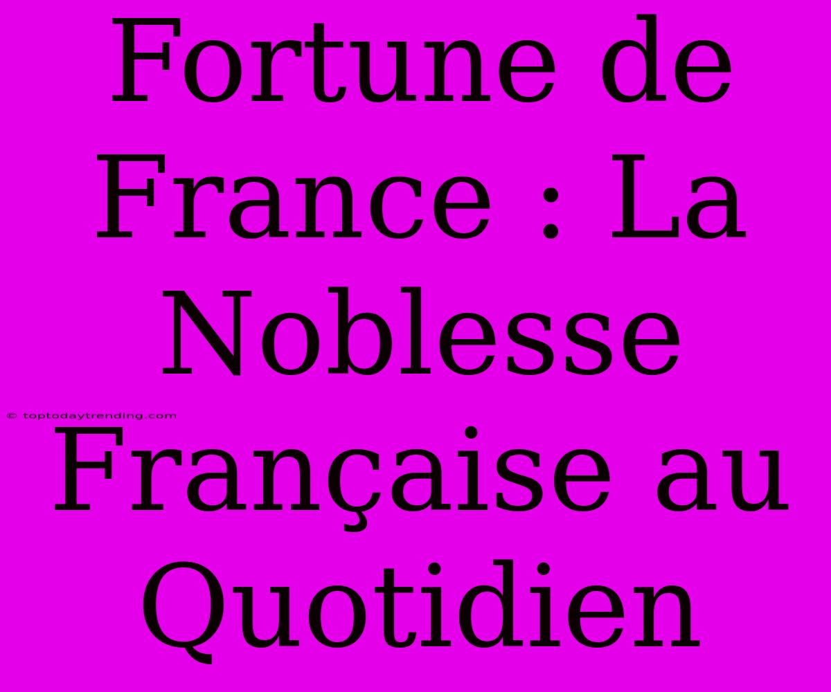 Fortune De France : La Noblesse Française Au Quotidien