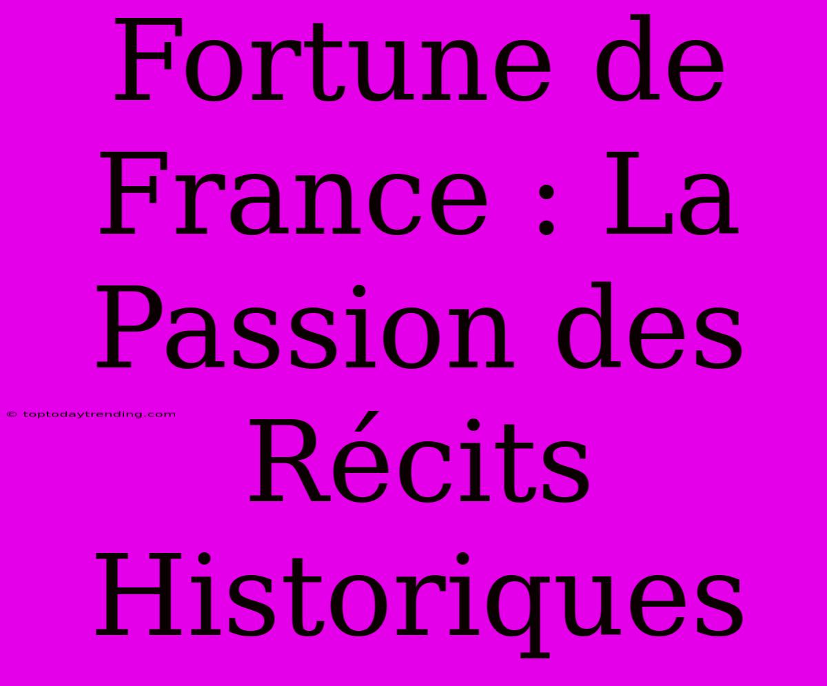 Fortune De France : La Passion Des Récits Historiques