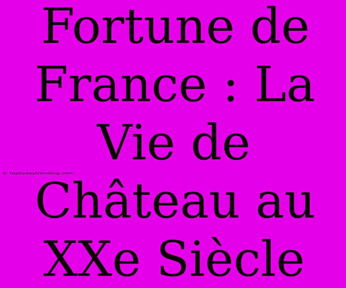 Fortune De France : La Vie De Château Au XXe Siècle