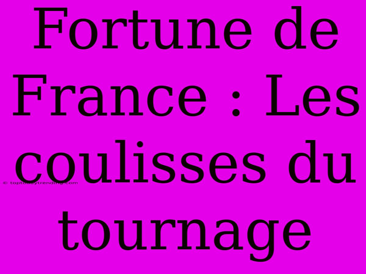 Fortune De France : Les Coulisses Du Tournage