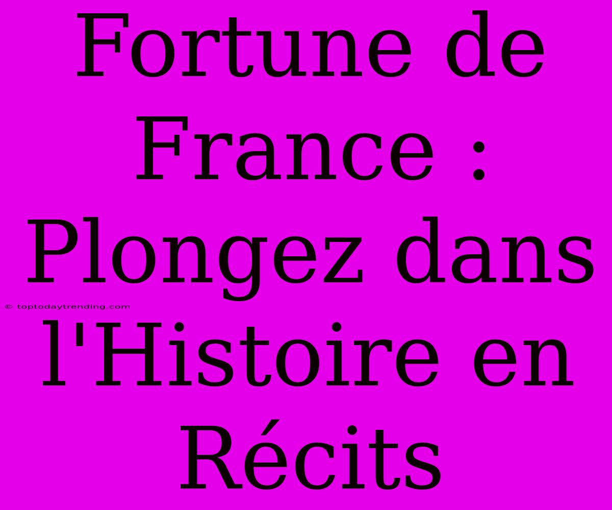 Fortune De France : Plongez Dans L'Histoire En Récits