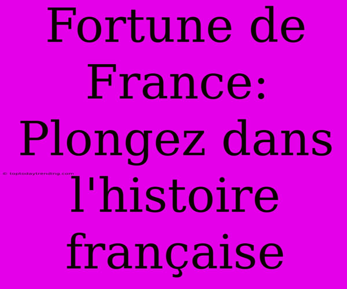 Fortune De France: Plongez Dans L'histoire Française