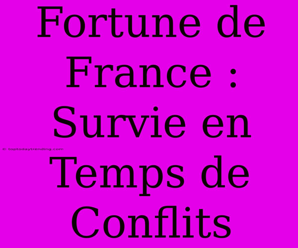 Fortune De France : Survie En Temps De Conflits