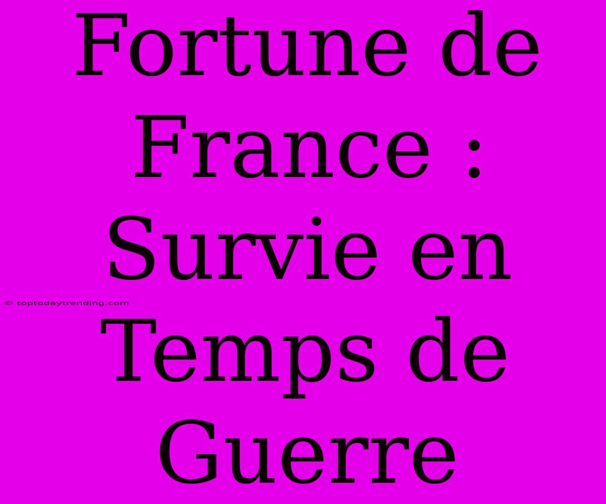 Fortune De France : Survie En Temps De Guerre