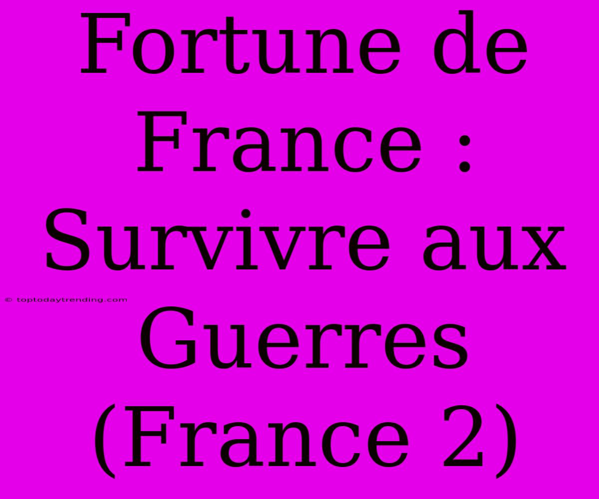 Fortune De France : Survivre Aux Guerres (France 2)