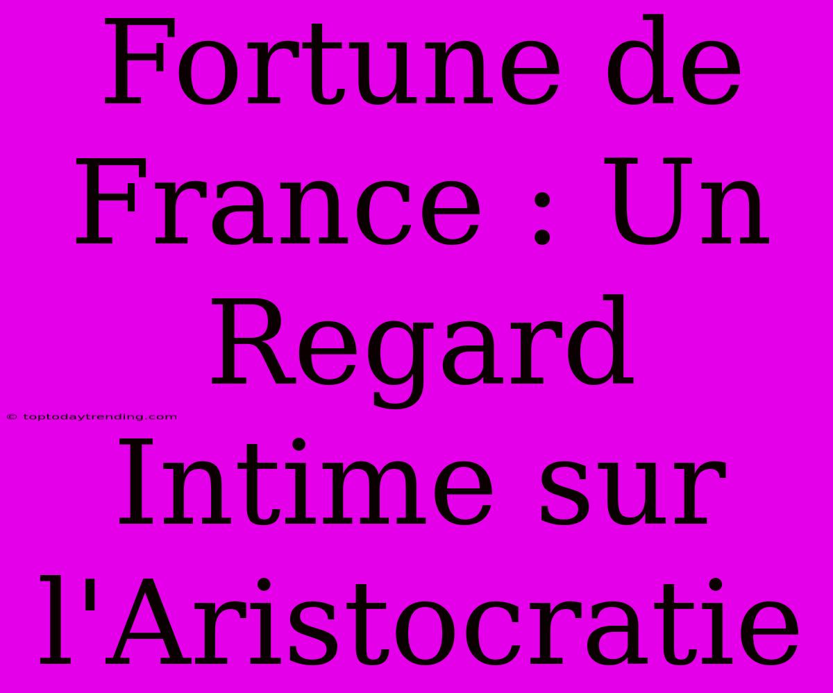 Fortune De France : Un Regard Intime Sur L'Aristocratie