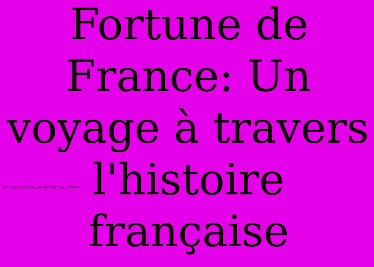 Fortune De France: Un Voyage À Travers L'histoire Française