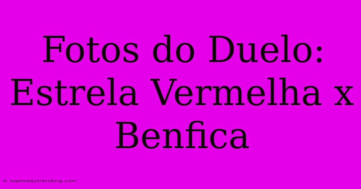 Fotos Do Duelo: Estrela Vermelha X Benfica