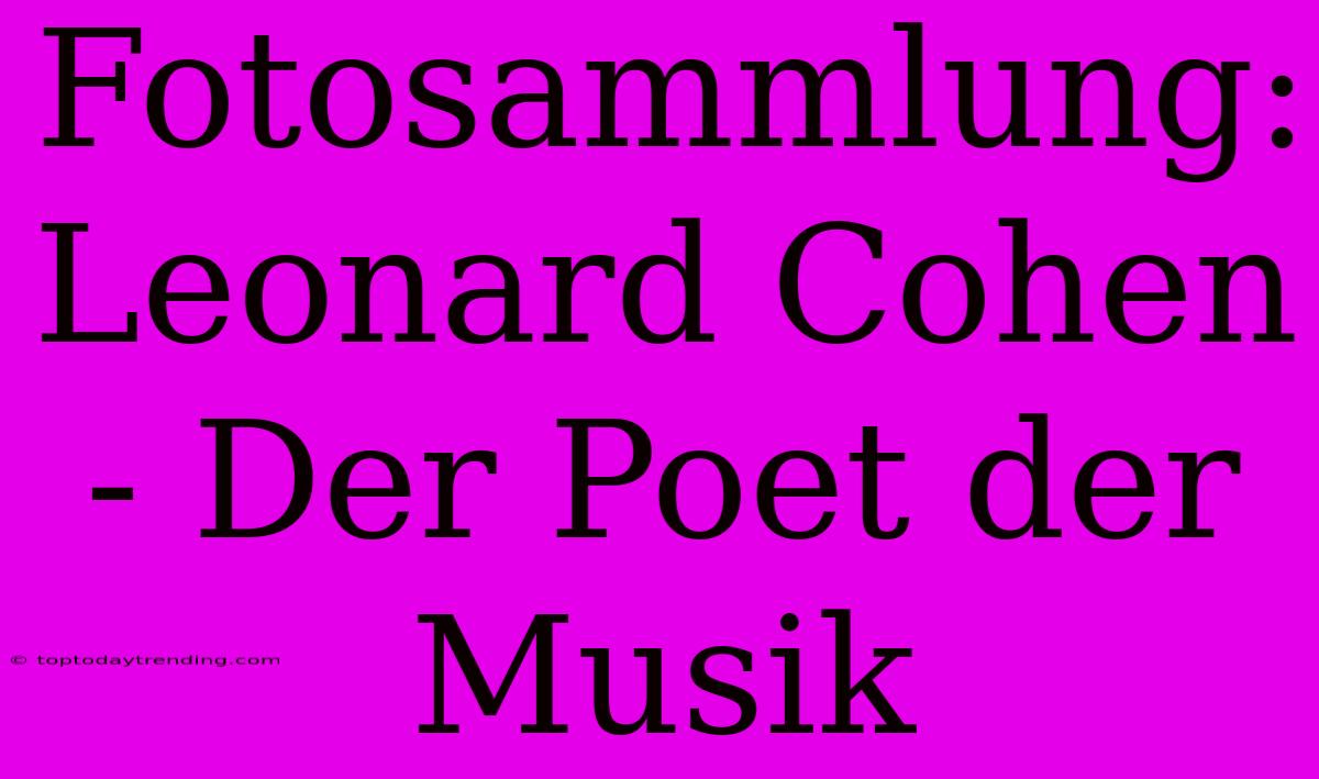 Fotosammlung: Leonard Cohen - Der Poet Der Musik