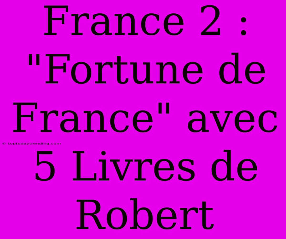 France 2 : 