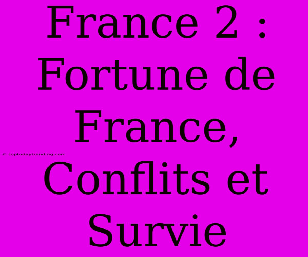 France 2 : Fortune De France, Conflits Et Survie