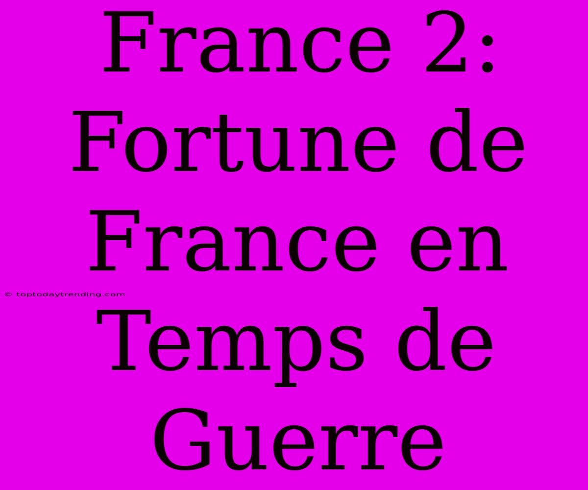 France 2: Fortune De France En Temps De Guerre