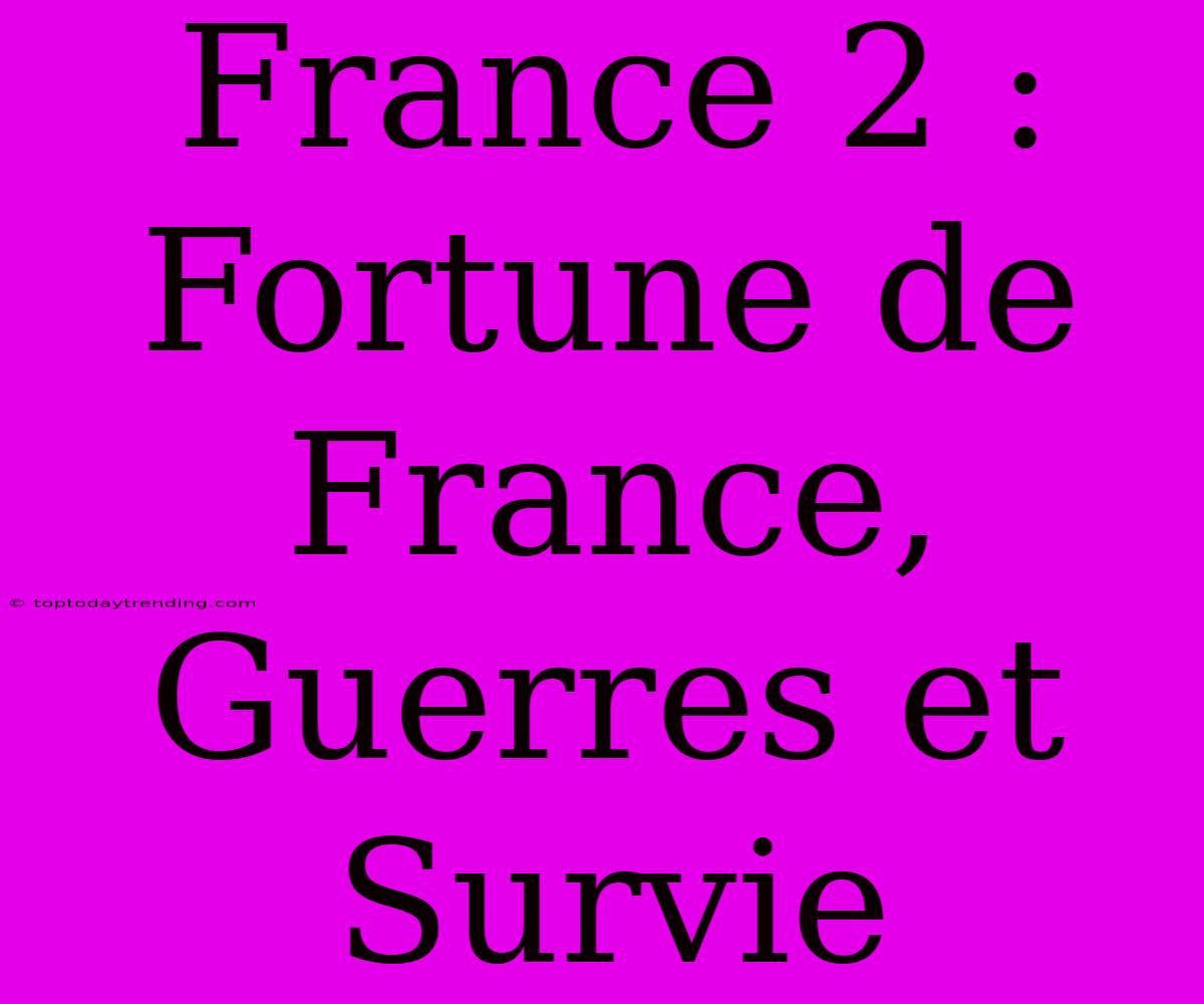 France 2 : Fortune De France, Guerres Et Survie