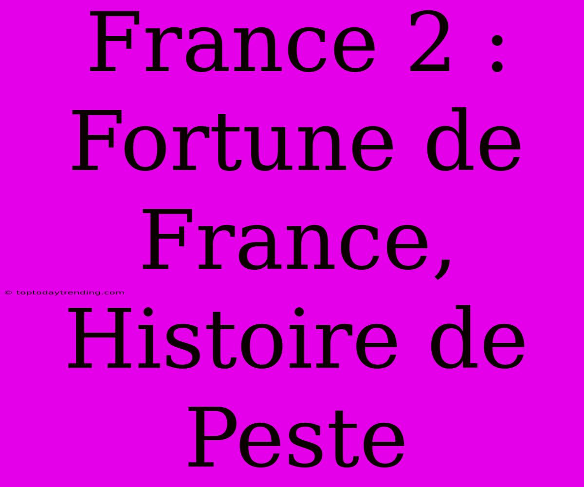 France 2 : Fortune De France, Histoire De Peste