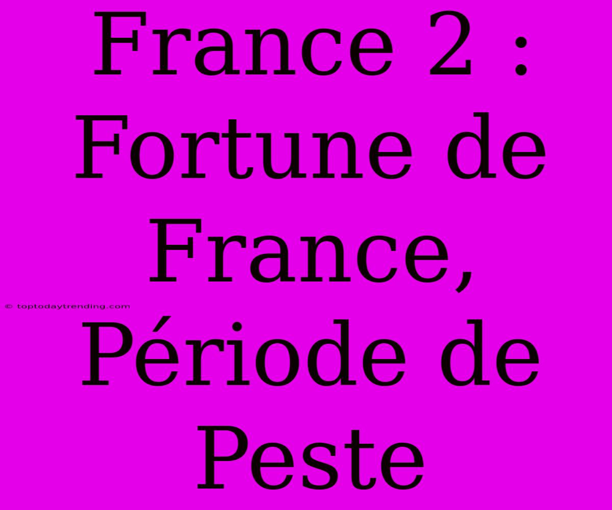 France 2 : Fortune De France, Période De Peste