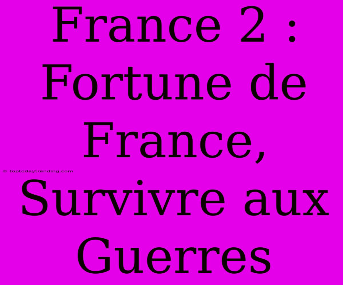 France 2 : Fortune De France, Survivre Aux Guerres