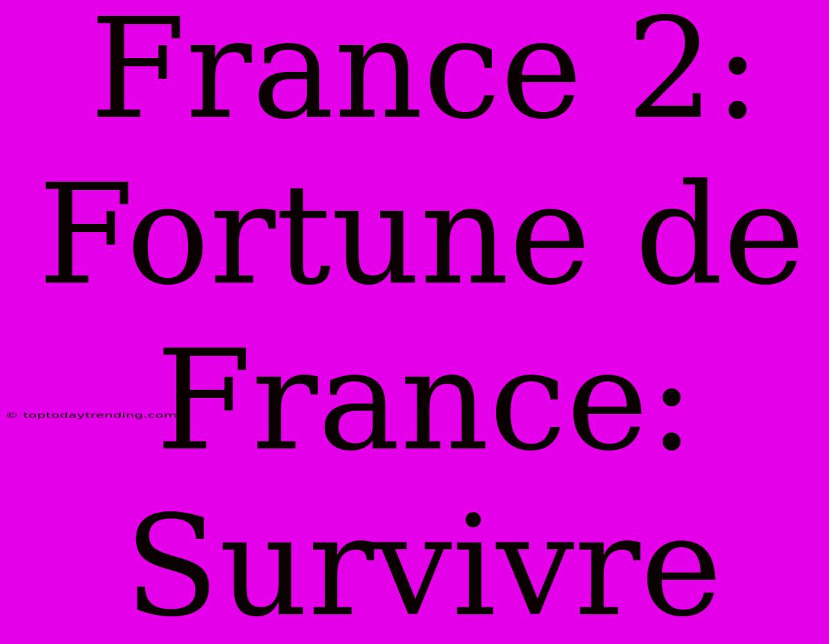 France 2: Fortune De France: Survivre