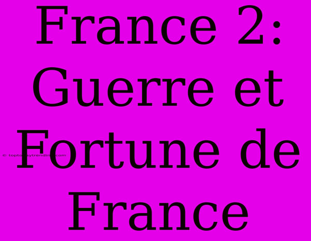 France 2: Guerre Et Fortune De France